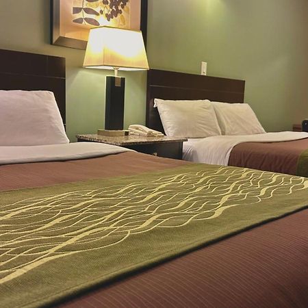 Lacombe Motor Inn Экстерьер фото
